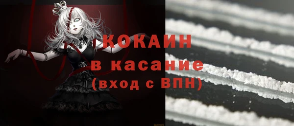 прущие грибы Балабаново