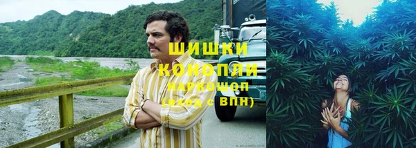 сатива Балахна
