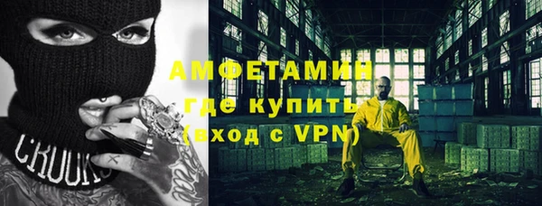 прущие грибы Балабаново