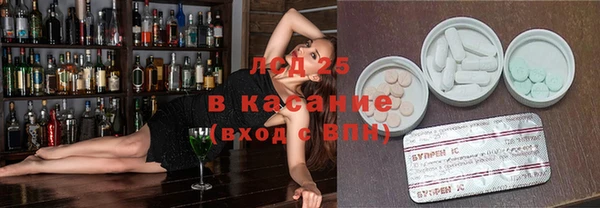 прущие грибы Балабаново