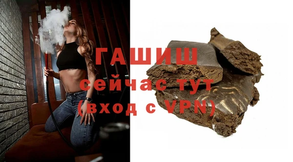 сатива Балахна