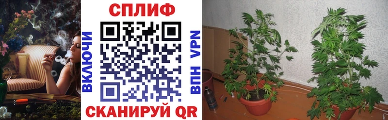 Купить  Верхотурье  Канабис индика 